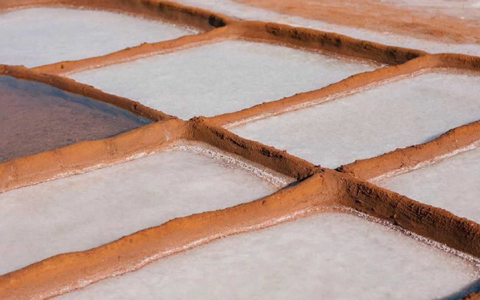 Close-up perspective of geometric earthen salt pans and shallow water basins by WRNS Studio.