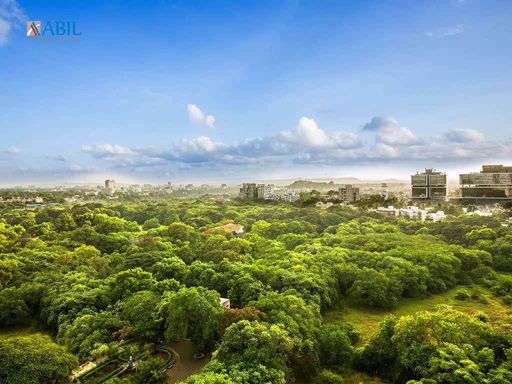 Aerial view across dense green canopy toward distant urban towers under a bright sky with ABIL logo in top left corner by Baca Architects.