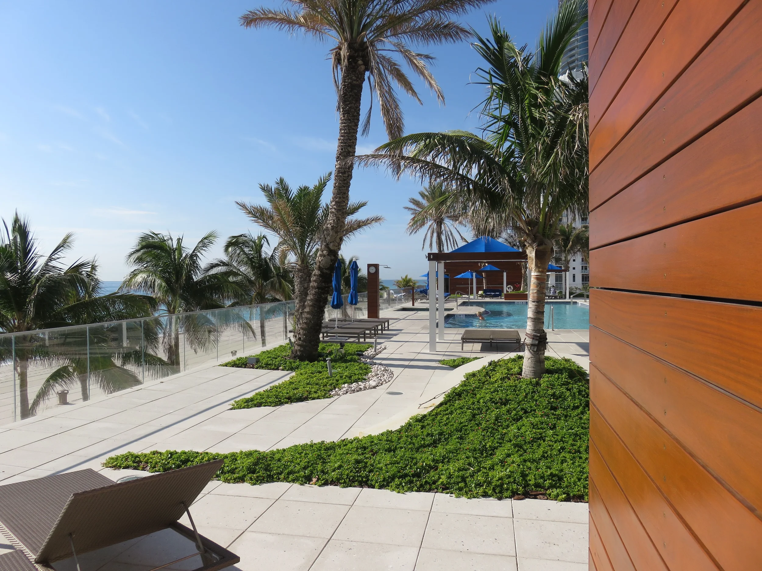 Rooftop terrace and pool deck by DWY Landscape Architects featuring organic planting beds, glass guardrail overlooking the ocean, and timber-clad wall in the foreground.