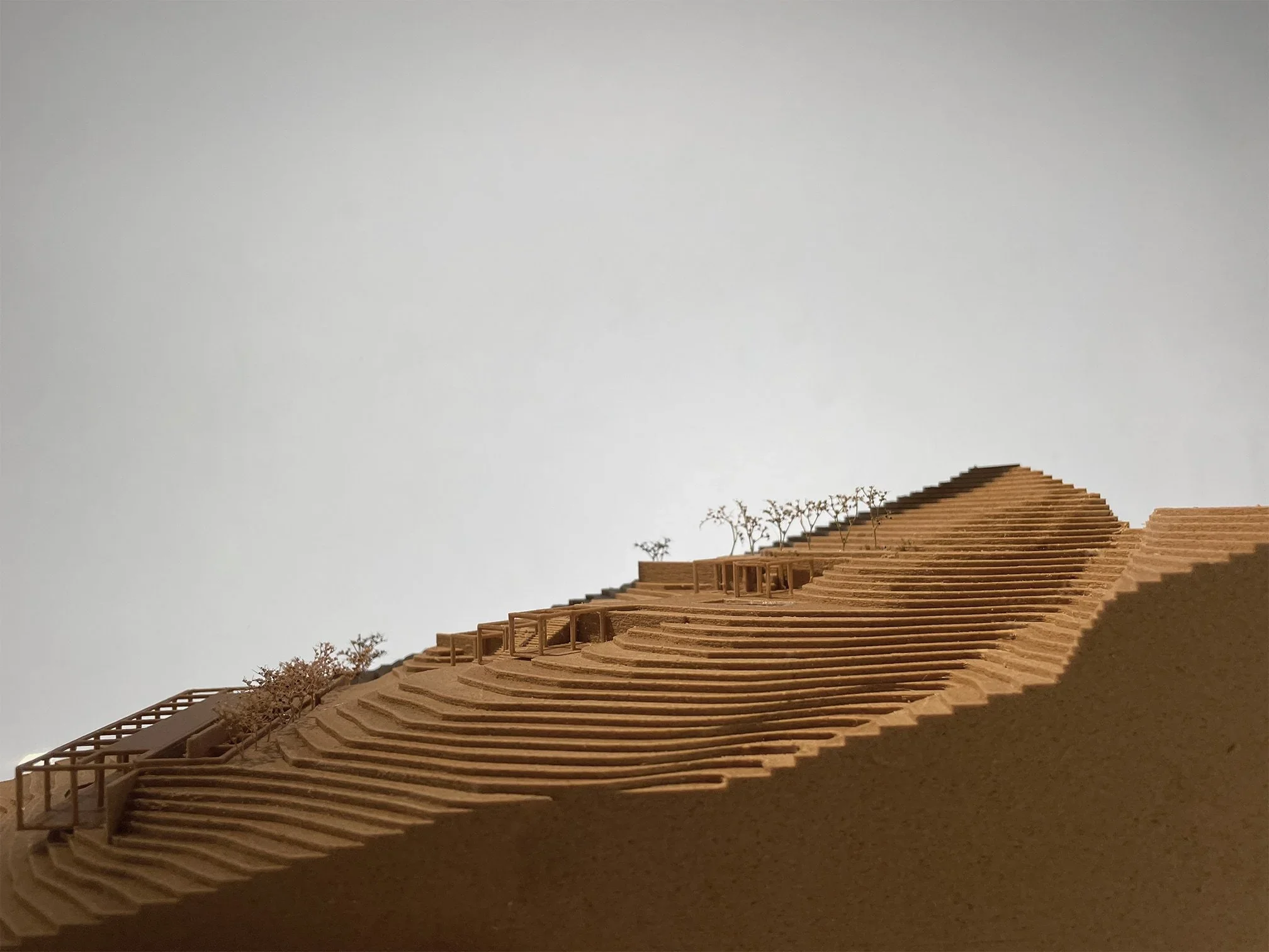 Physical topographical model by Chris Briffa Architects showing terraced contours with miniature trees and platforms.