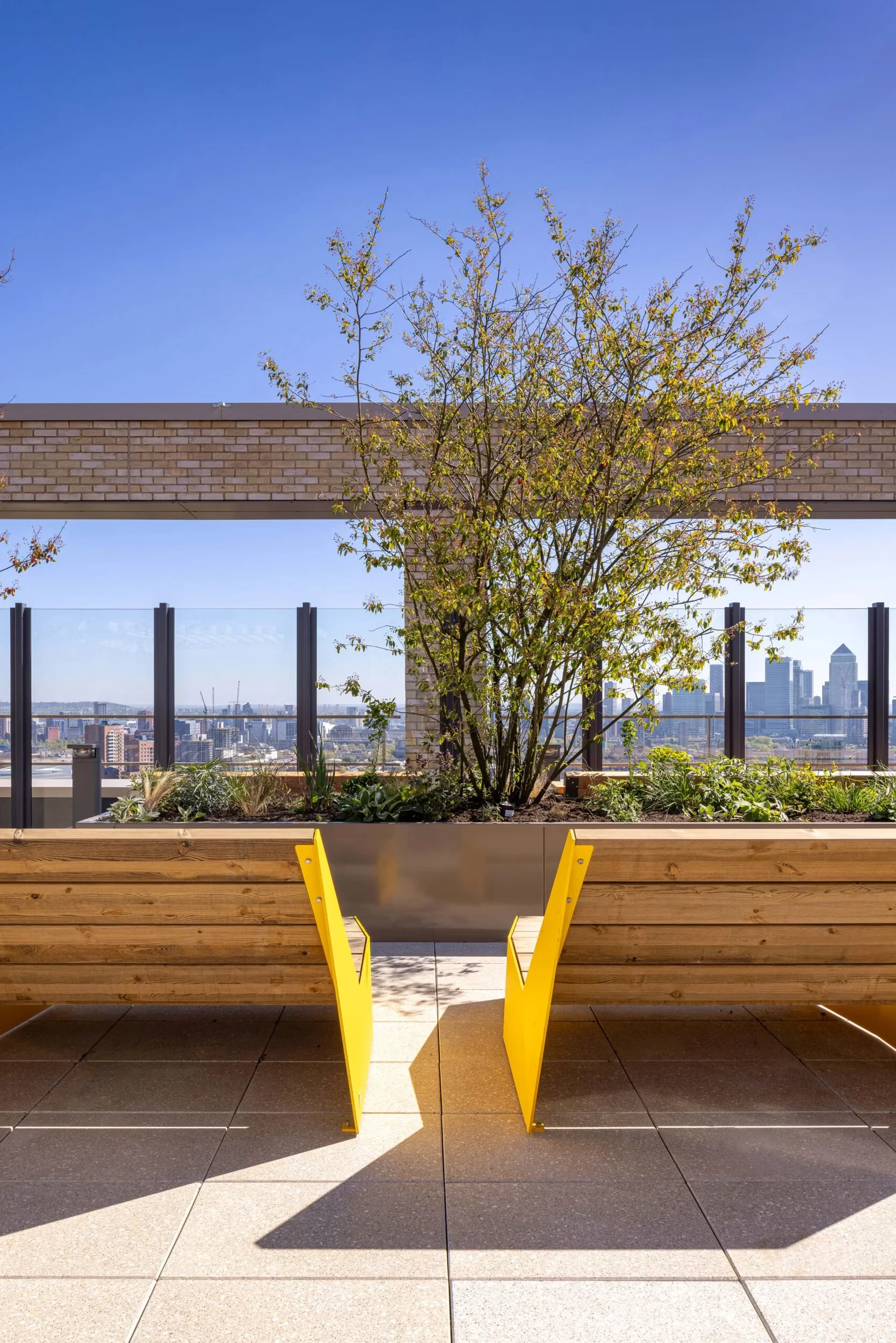 Rooftop terrace by RM_A at Stroudley Walk with timber and bright yellow benches facing a central planter and distant city skyline.