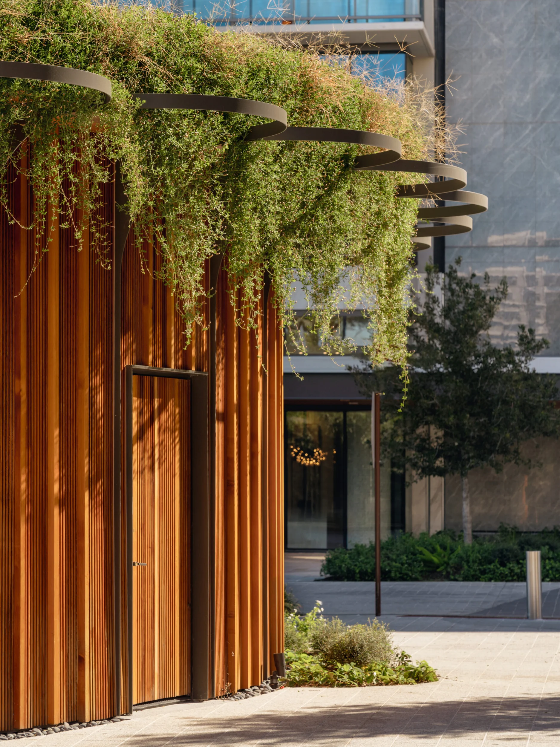 Curved timber-clad pavilion with a planted green roof and circular metal trellis rings by Michael Hsu Office of Architecture.