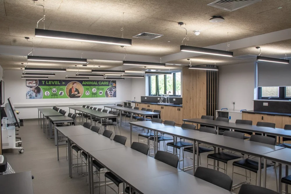 Interior classroom or training space with rows of grey desks, black chairs, and suspended linear pendant lights by Mitzman Architects.