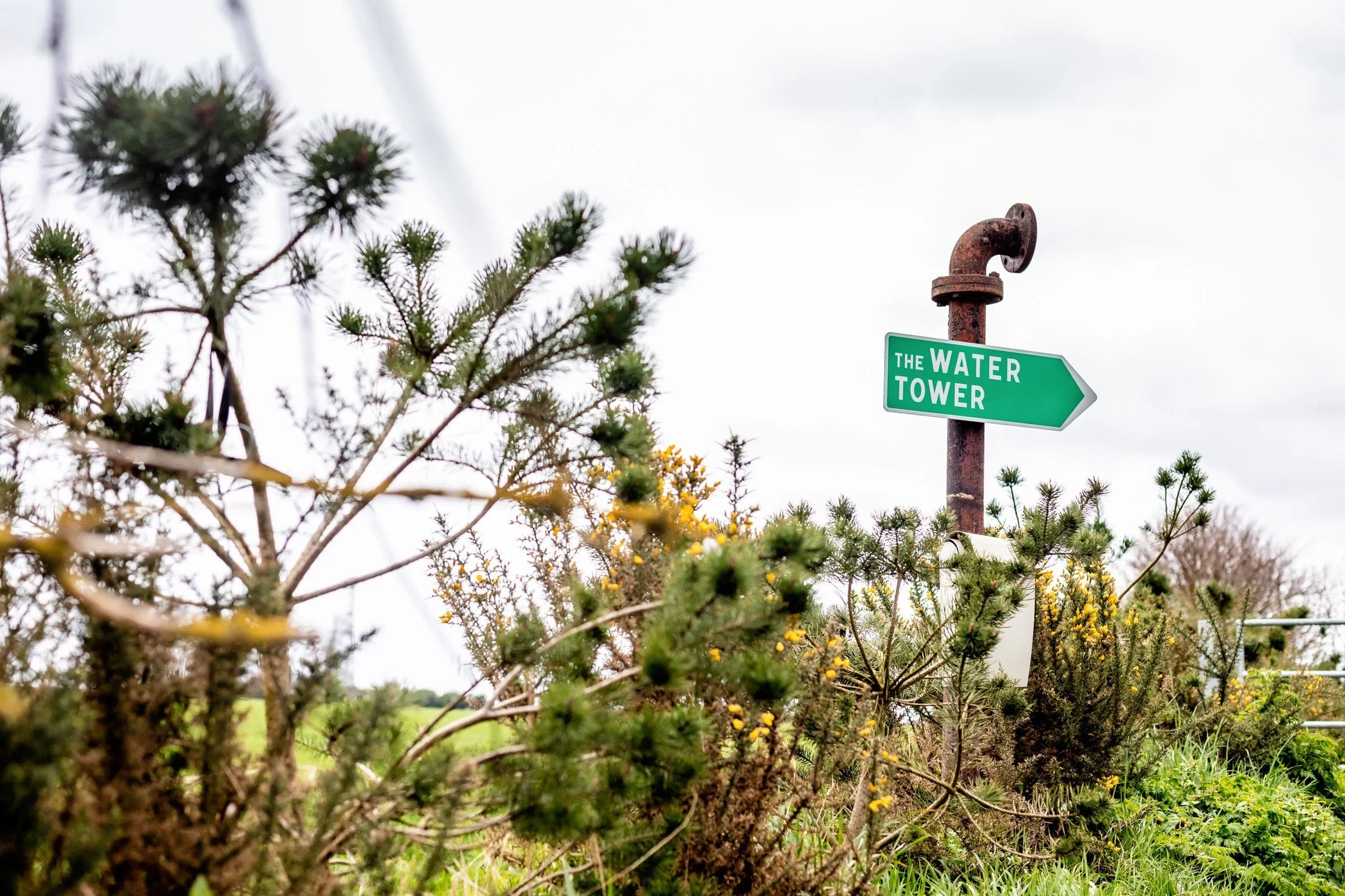 Rustic directional sign reading THE WATER TOWER mounted on a weathered steel pipe amidst wild gorse and pine by Tonkin Liu.