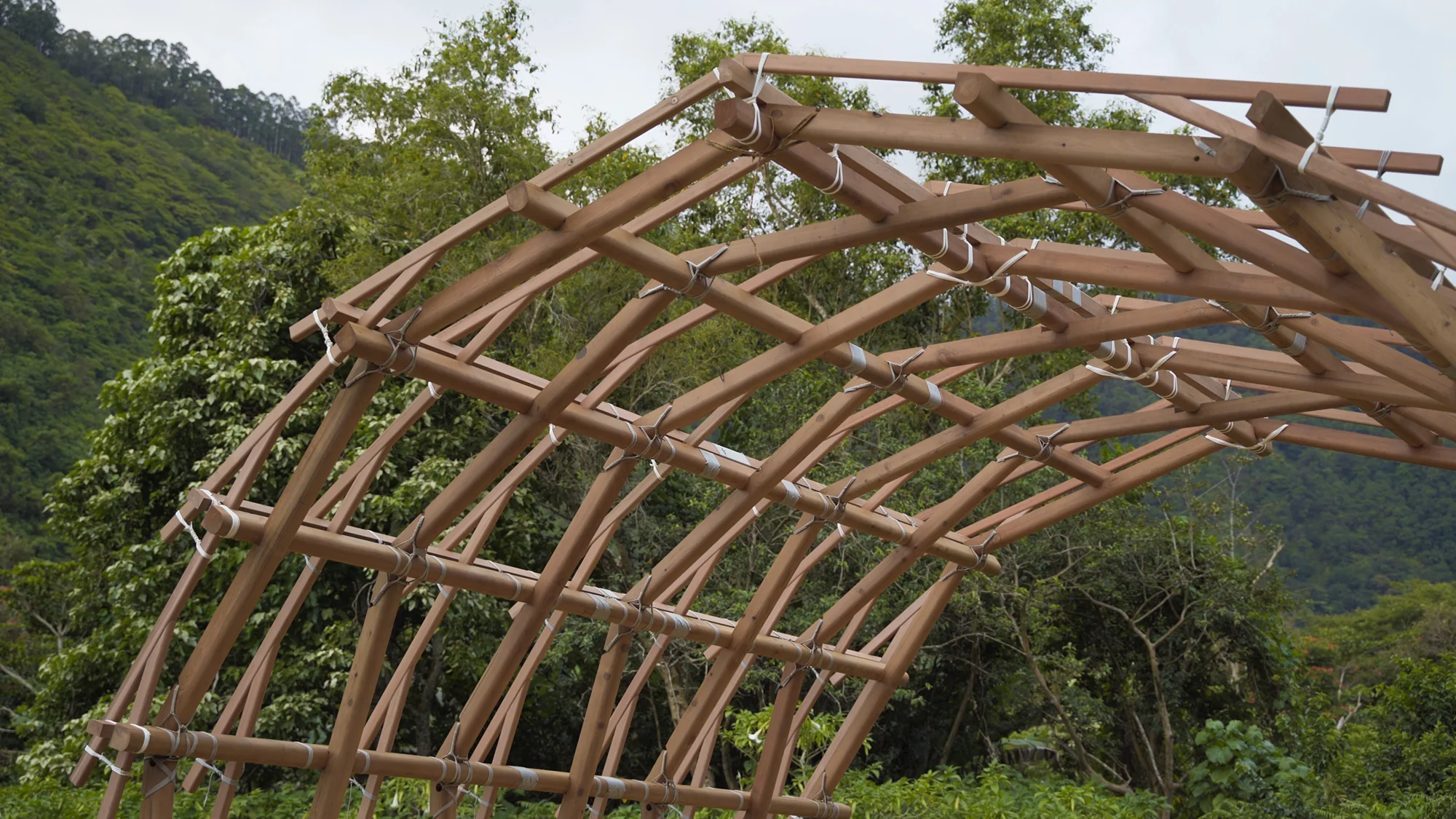 Curved timber lattice structure tied with rope in an outdoor landscape setting by Leong Leong.