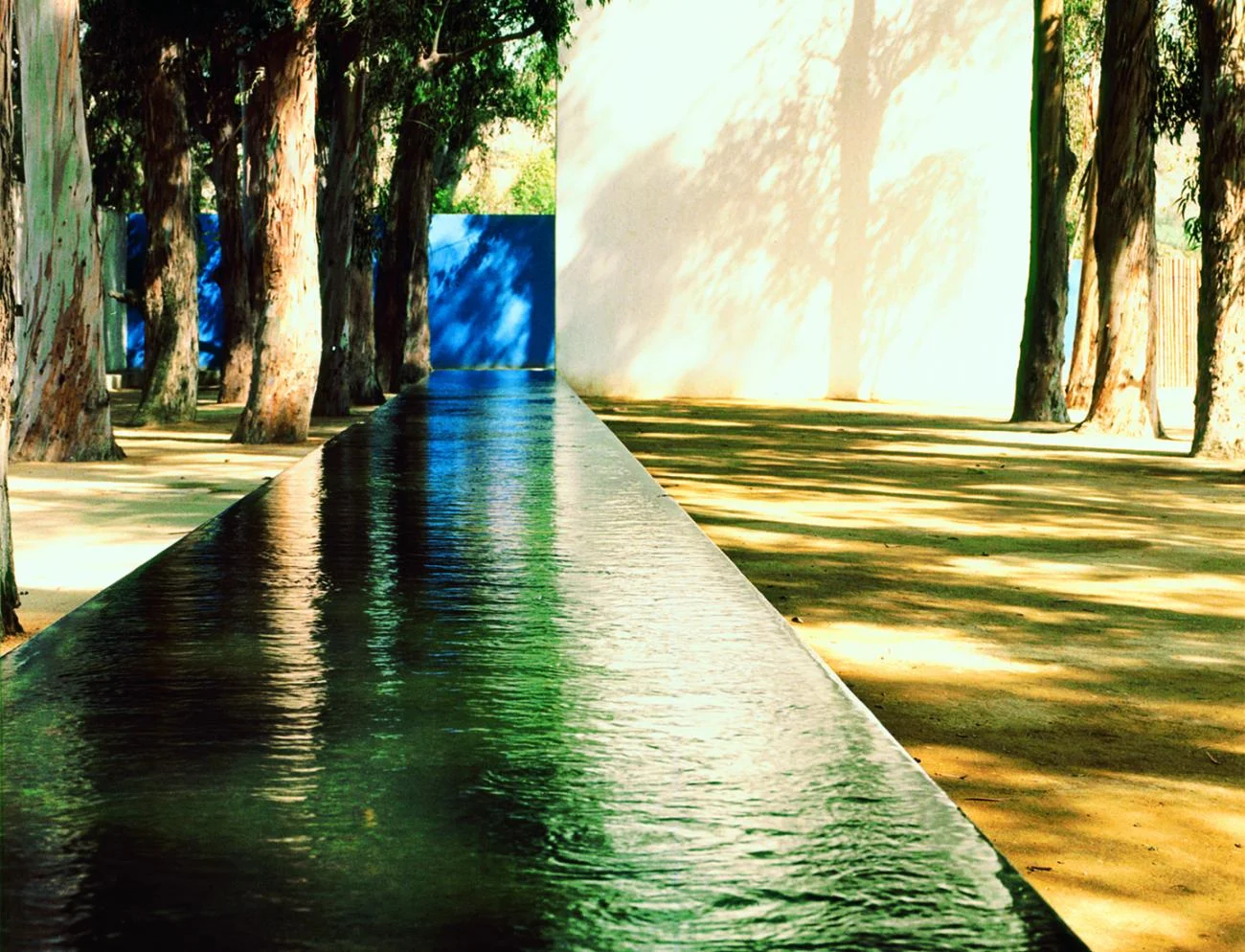 A long, linear water trough reflecting trees next to a large white stucco wall in Las Arboledas by Luis Barragán.